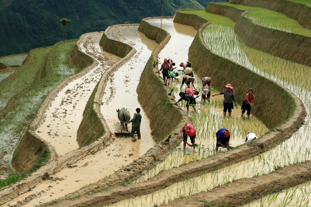 Eco Homestay Mai Chau Eksteriør bilde
