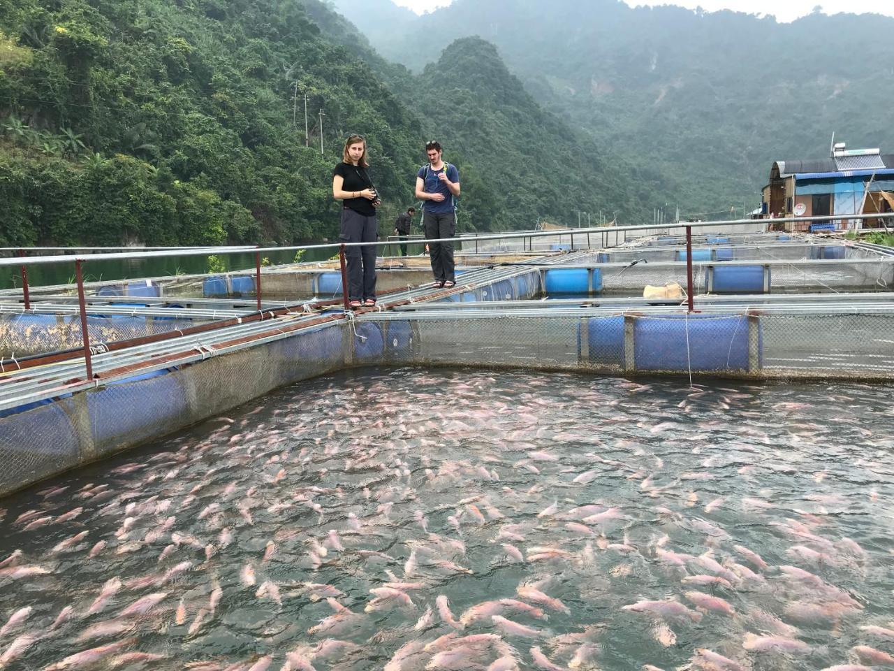 Eco Homestay Mai Chau Eksteriør bilde